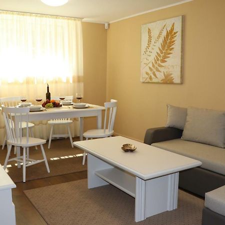 Cluj City Center Apartment Zewnętrze zdjęcie