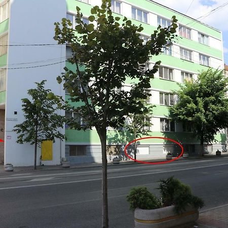 Cluj City Center Apartment Zewnętrze zdjęcie