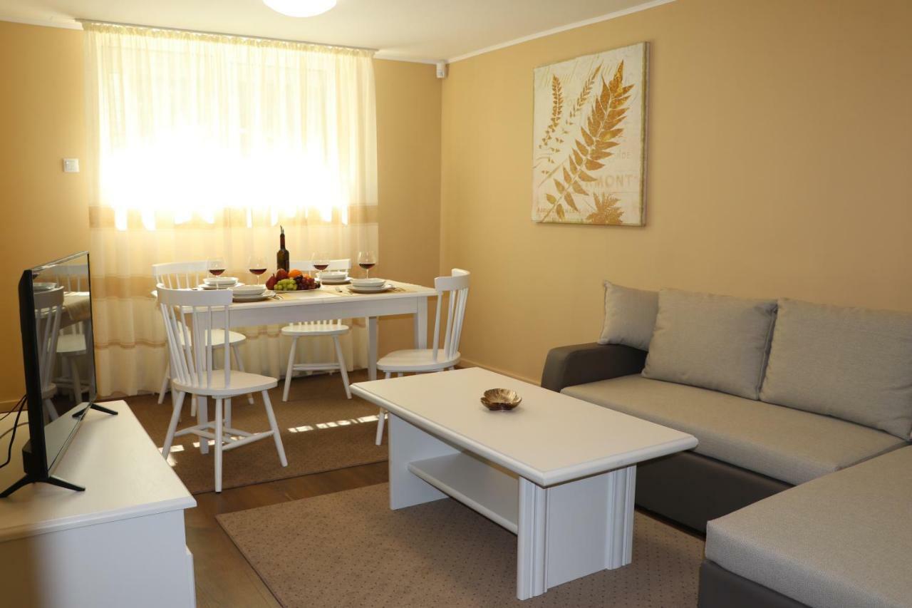 Cluj City Center Apartment Zewnętrze zdjęcie